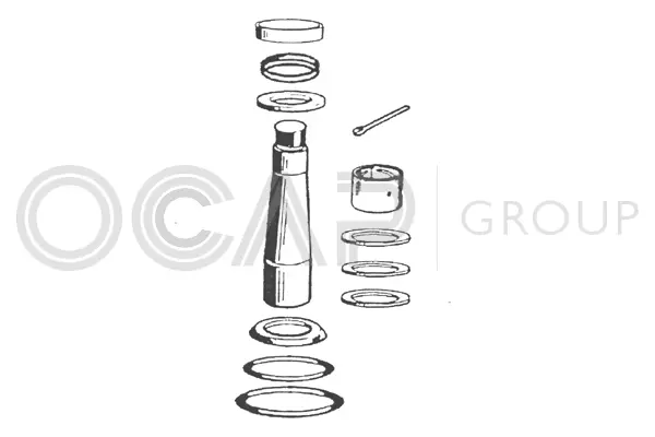 Repair Kit, kingpin (0927458)