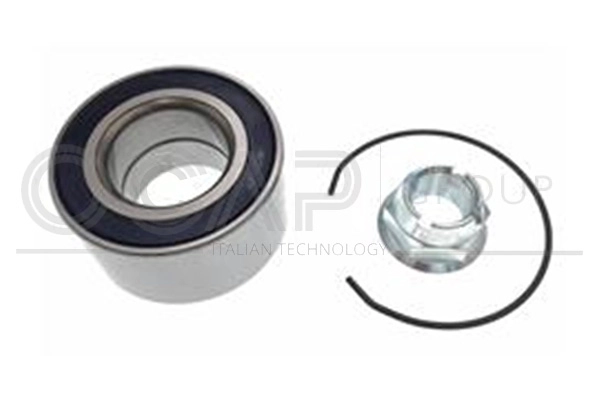 Wheel Bearing Kit (6120107)