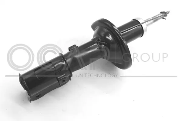 Shock Absorber (82294FL)