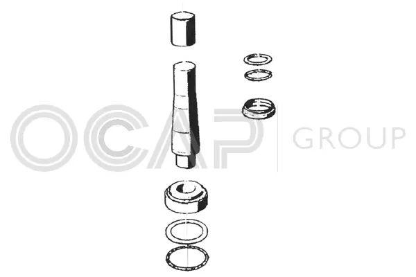 Repair Kit, kingpin (0927454)