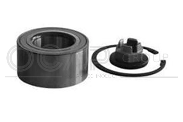 Wheel Bearing Kit (6120214)