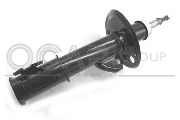 Shock Absorber (82252FL)
