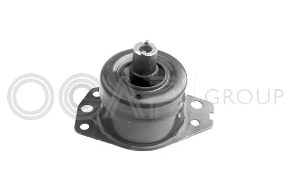 Mounting, engine (1225170)
