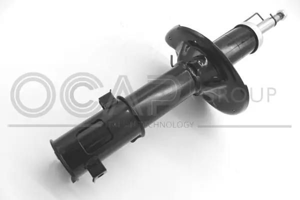 Shock Absorber (82384FL)