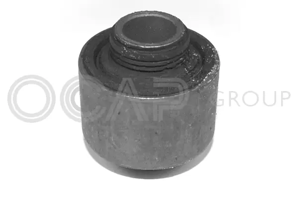 Mounting, control/trailing arm (1215010)