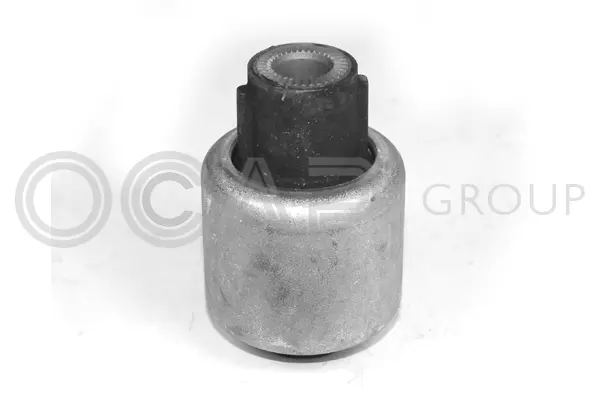 Mounting, control/trailing arm (1215700)