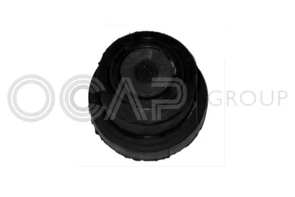 Mounting, control/trailing arm (1215448)