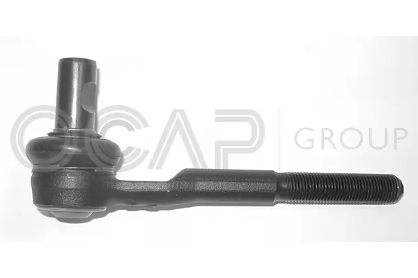 Tie Rod End (0181894)