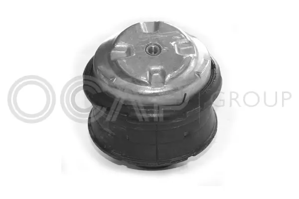 Mounting, engine (1225292)