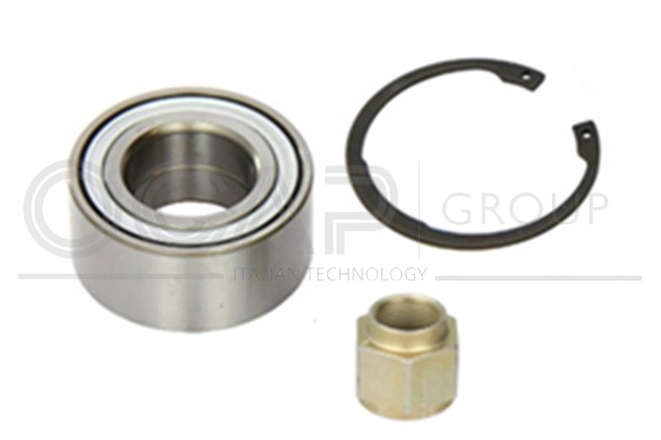 Wheel Bearing Kit (6120141)
