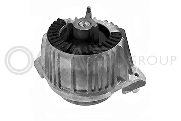 Mounting, engine (1226220)