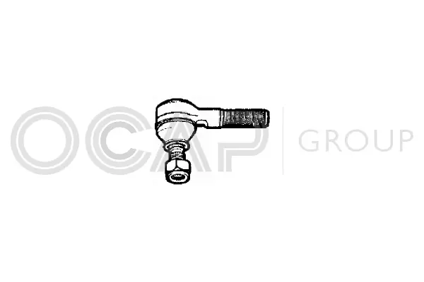 Tie Rod End (0180561)