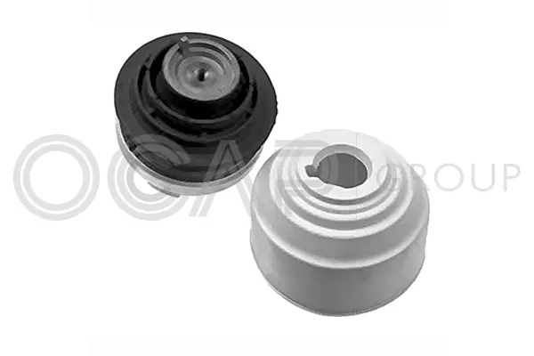 Mounting, engine (1226206)