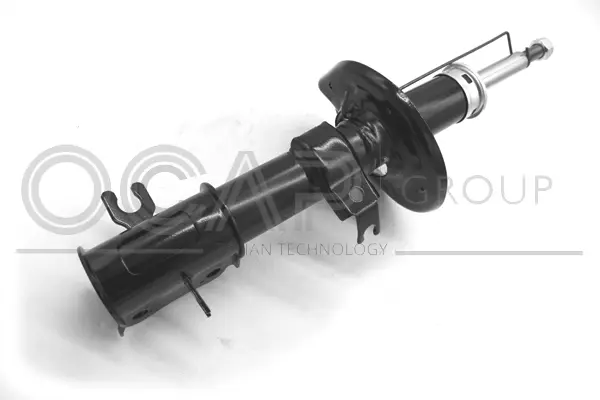 Shock Absorber (82204FR)