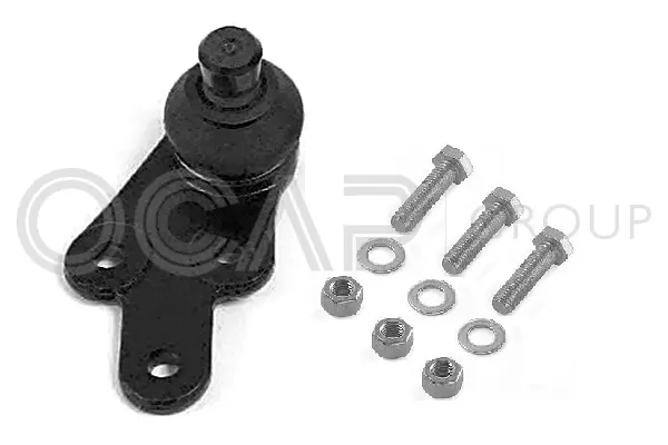 Ball Joint (0496494)