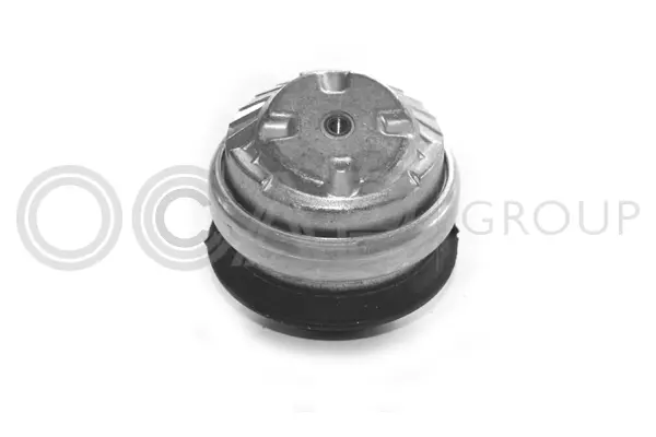 Mounting, engine (1225314)