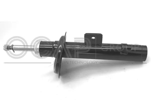 Shock Absorber (82245FR)