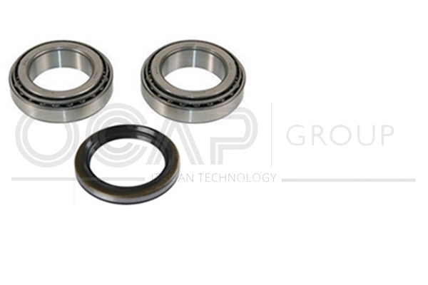 Wheel Bearing Kit (6120573)