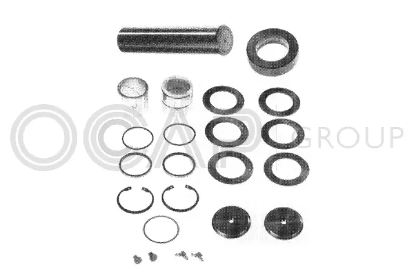 Repair Kit, kingpin (0927408)