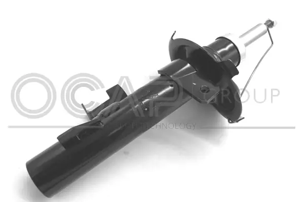 Shock Absorber (82272FR)
