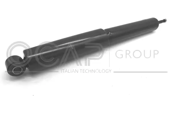Shock Absorber (82224RU)
