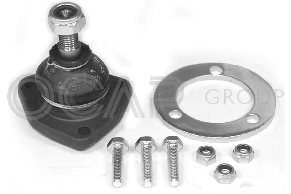 Ball Joint (0401402)