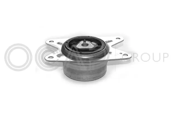 Mounting, engine (1225376)