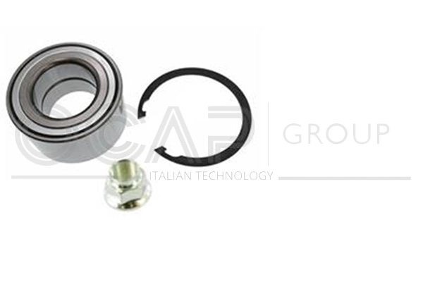 Wheel Bearing Kit (6120662)