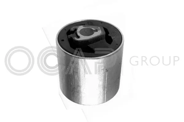 Mounting, control/trailing arm (1215494)