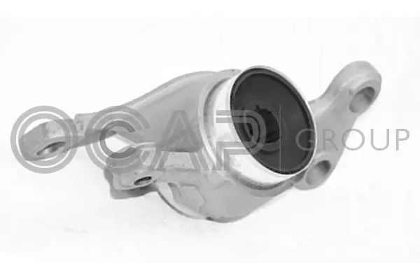 Mounting, control/trailing arm (1216359)