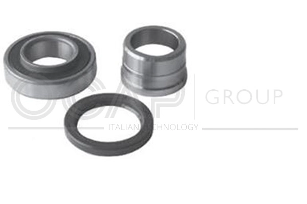 Wheel Bearing Kit (6120661)