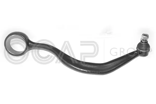 Control/Trailing Arm, wheel suspension (0391044)