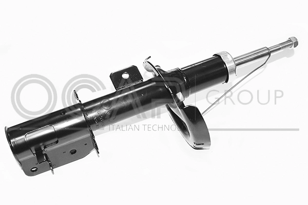 Shock Absorber (82645FR)