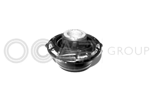 Mounting, control/trailing arm (1215619)