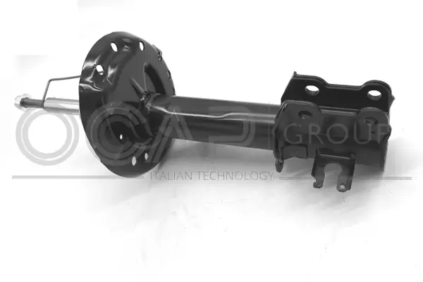 Shock Absorber (82306FL)
