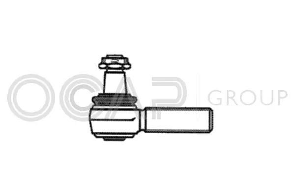 Tie Rod End (0187597)