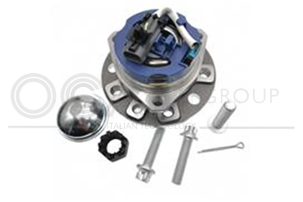 Wheel Bearing Kit (6120270)