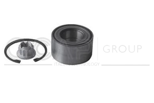 Wheel Bearing Kit (6120367)