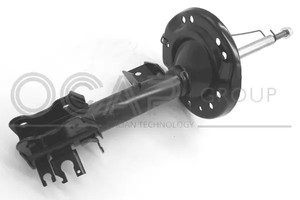Shock Absorber (82118FR)