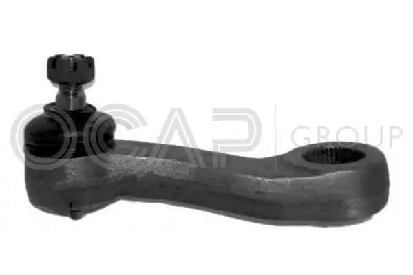 Steering Arm (0300589)