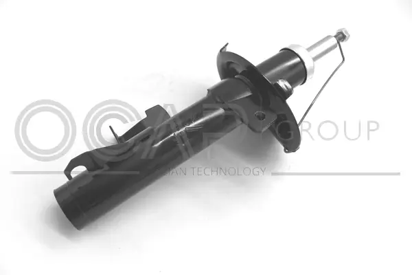 Shock Absorber (82196FR)