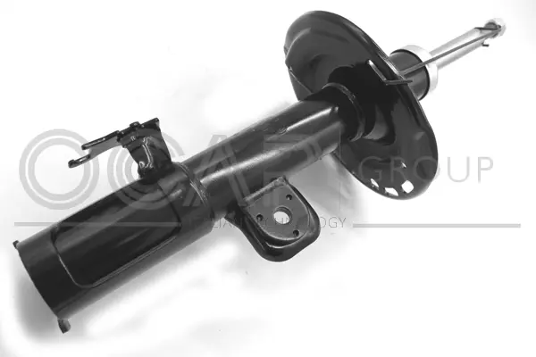 Shock Absorber (82262FL)