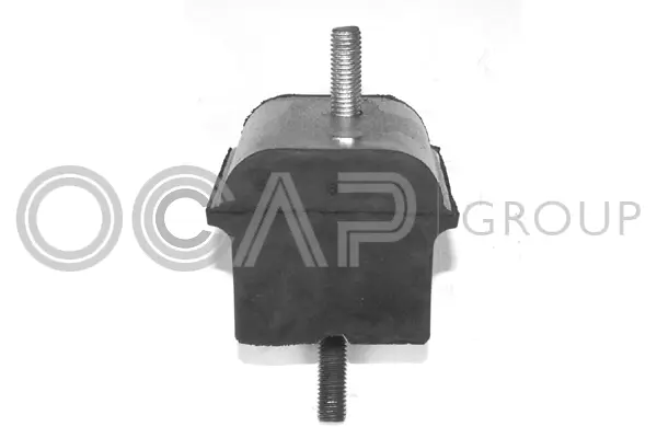Mounting, engine (1225443)