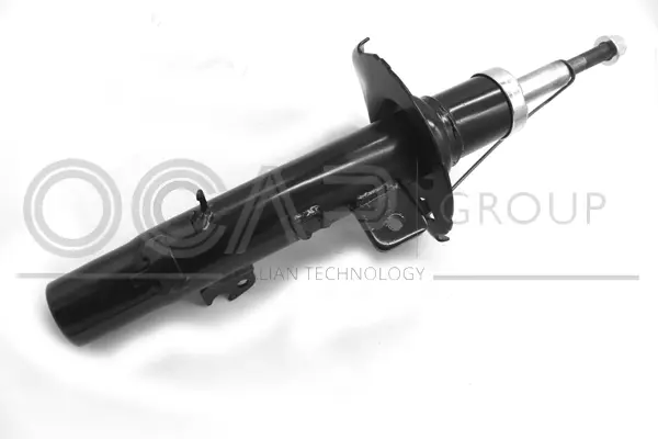 Shock Absorber (82060FR)