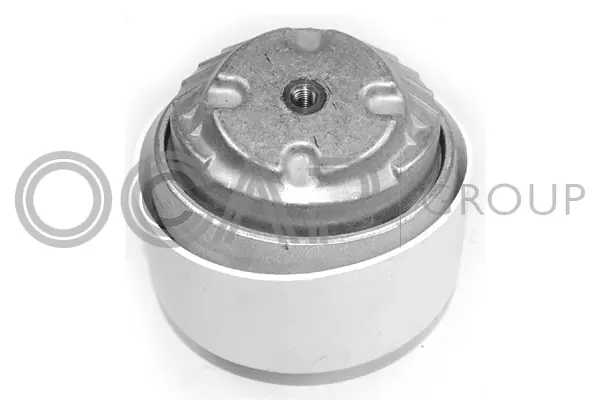 Mounting, engine (1225306)
