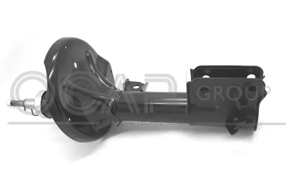 Shock Absorber (82414FL)