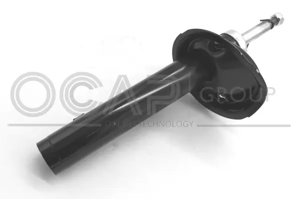 Shock Absorber (82245FL)