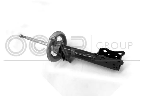 Shock Absorber (82106FU)