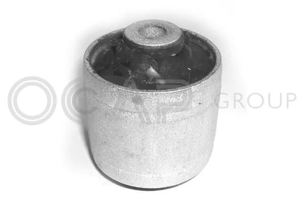 Mounting, control/trailing arm (1215743)