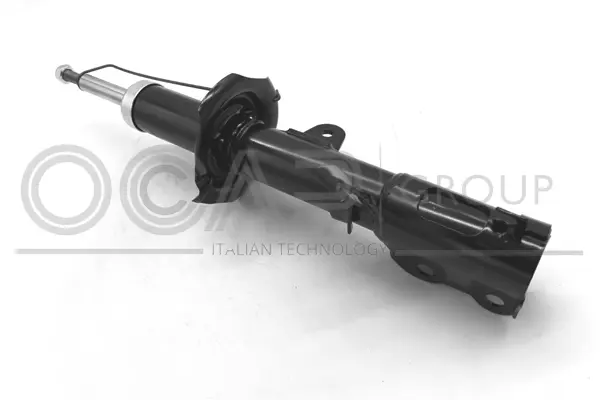 Shock Absorber (82484FR)